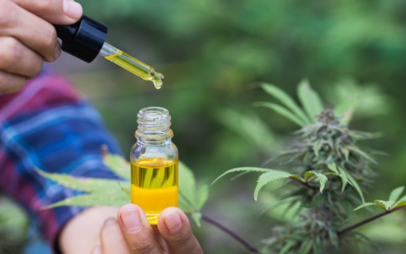 Personne qui tient une fiole d'hule de CBD avec une pipette, ร cรดtรฉ d'une plante de CBD.